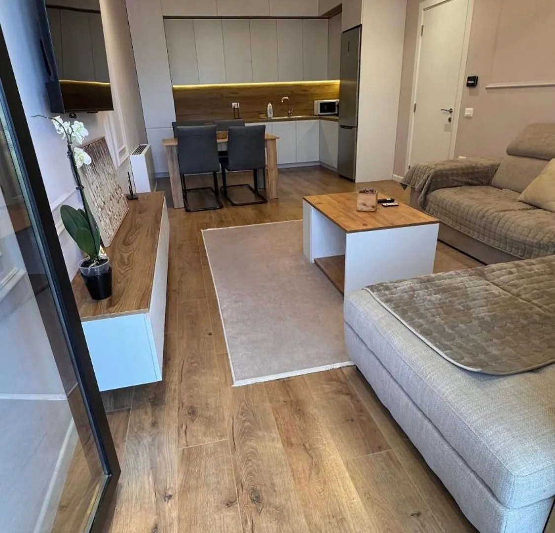 Central Comfort Apartment Tirana