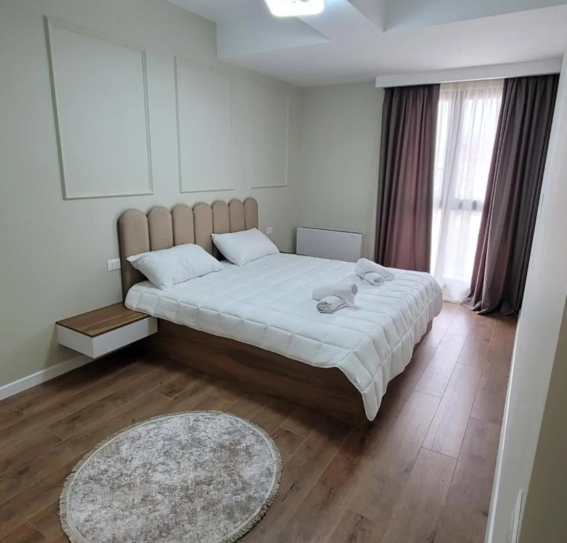 Central Comfort Apartment تيرانا